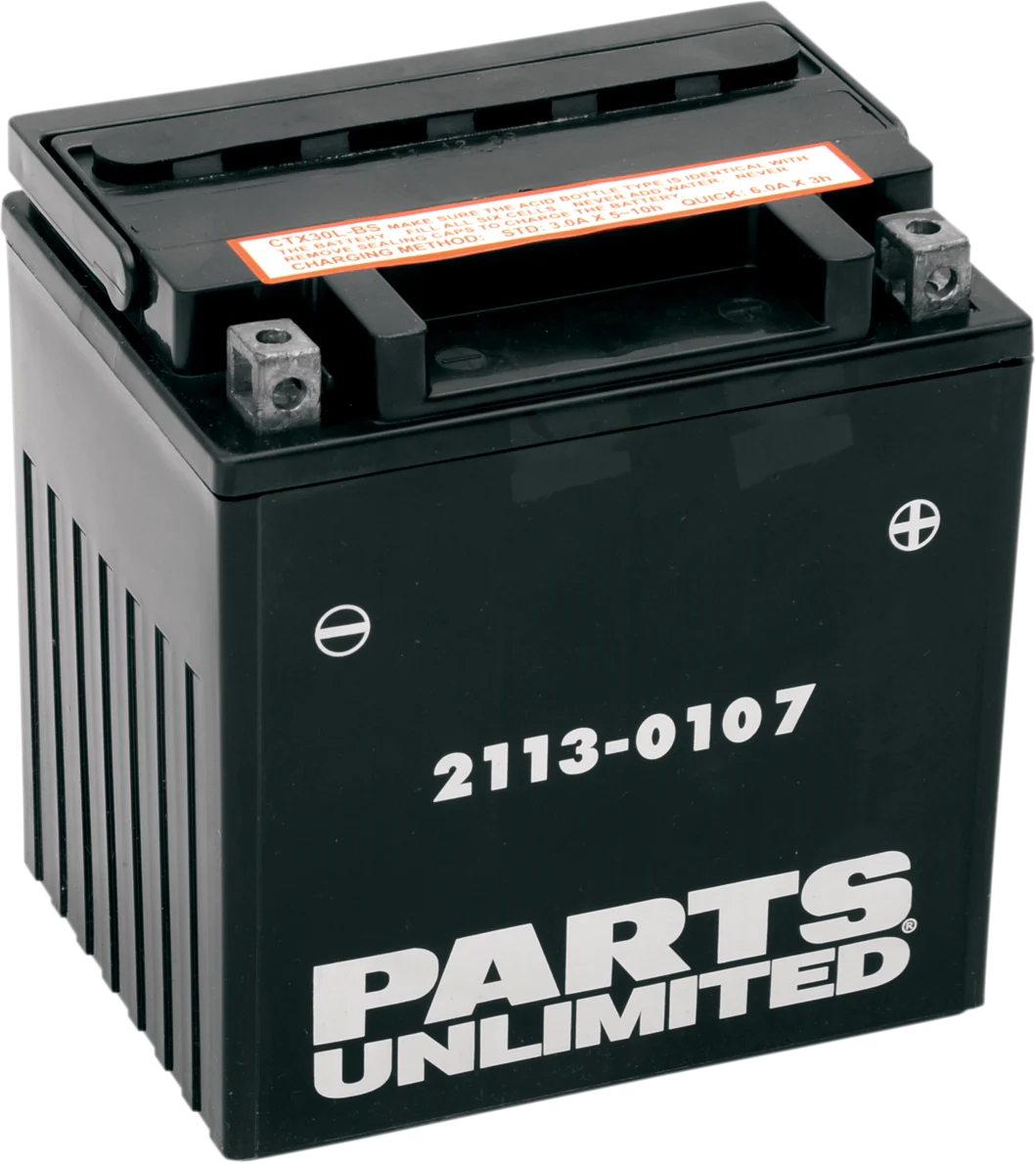 Parts Unlimited AGM Maintenance-Free Battery - YIX30L-BS