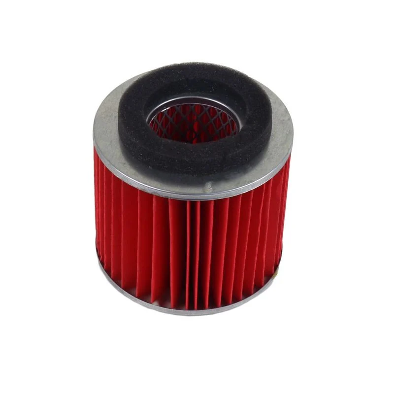 Athena 06-09 Yamaha 125 Air Filter - S410485200035