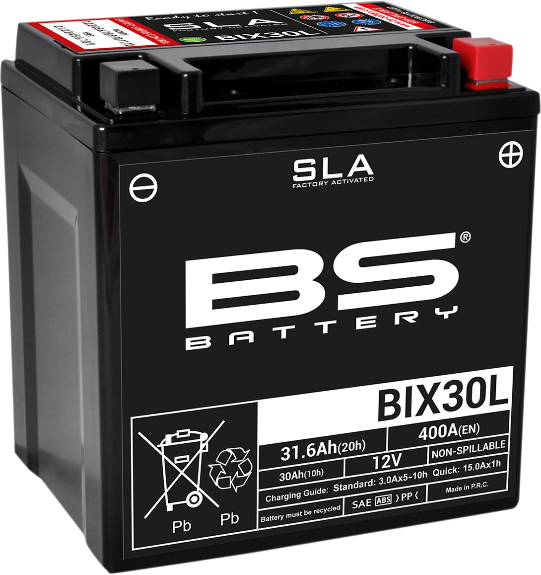 BS Battery SLA Factory - Activated AGM Maintenance-Free Battery - BIX30L(YIX)