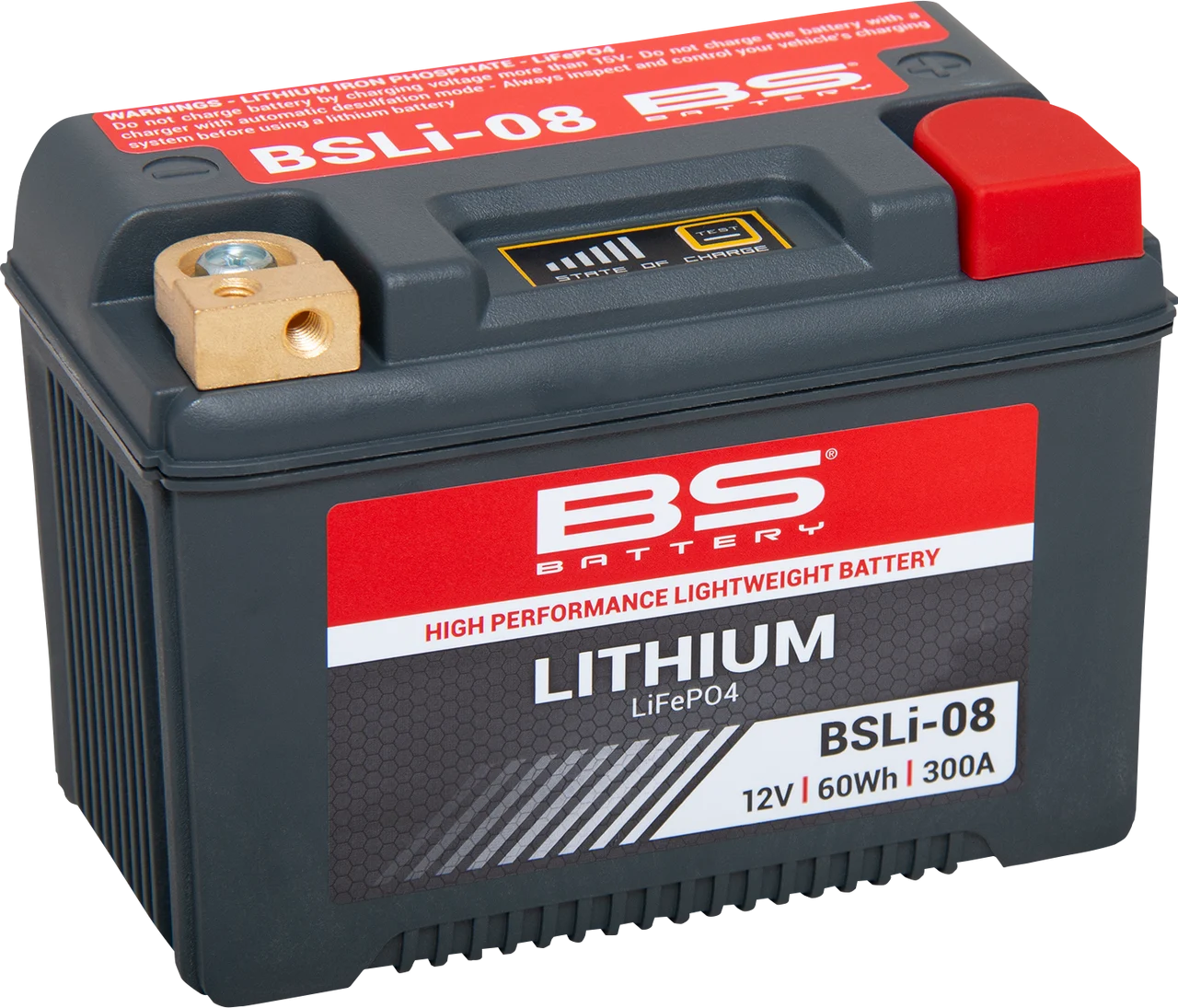 BS Battery High Performance Lithium LiFePO4 Battery - BSLi-08
